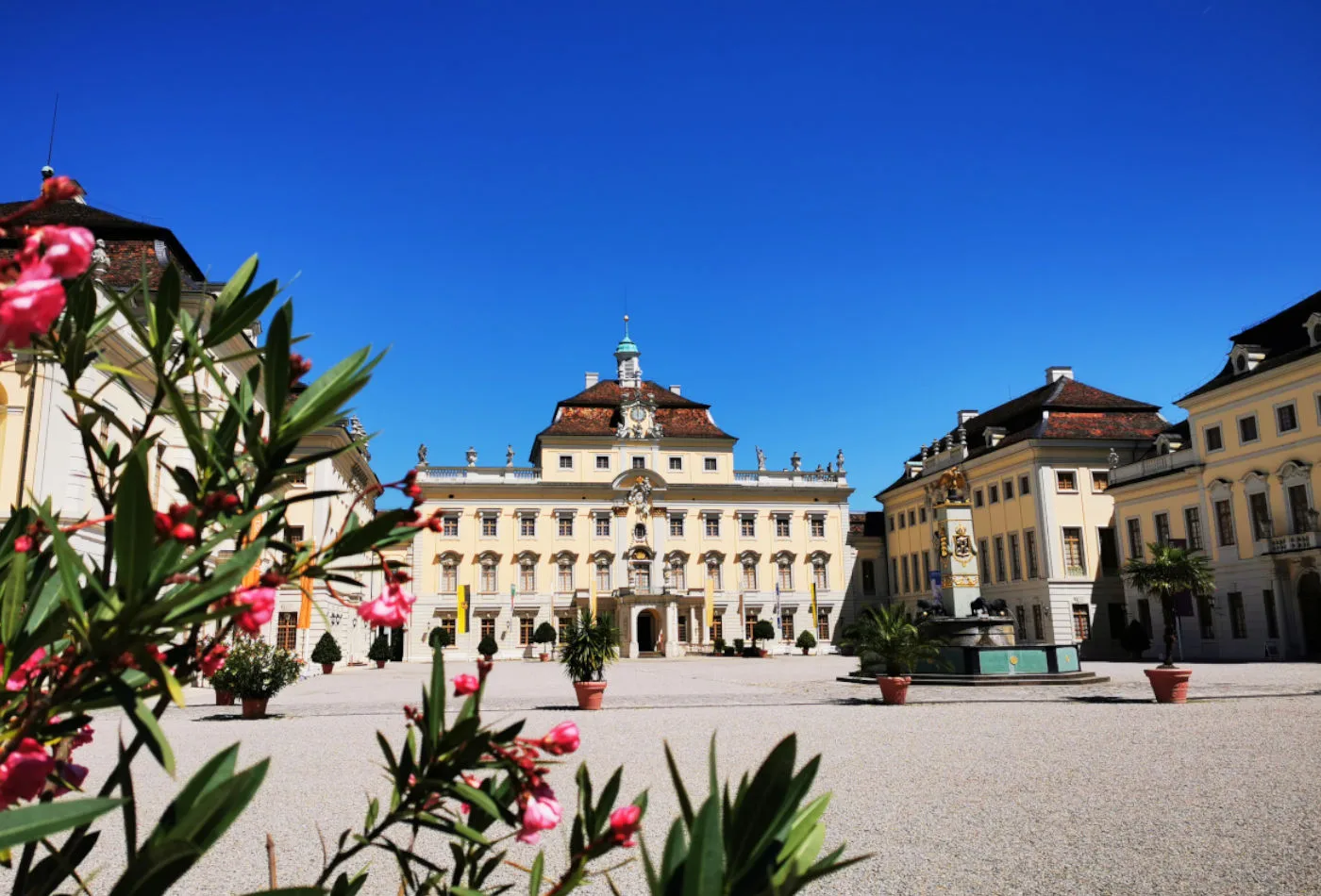<a href="https://cannameleon-cannabis-club.de/mitgliedschaft/ludwigsburg-cannabis-social-club/">Ludwigsburg</a>